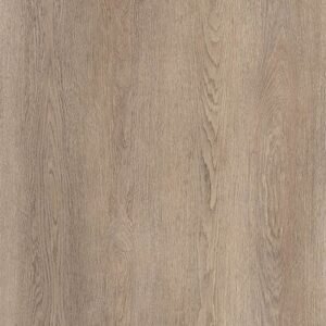 dominicano oak