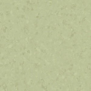 thh 21020769 001.jpg