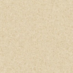 th 21020004 21021004 21022004 800 800 1.jpg