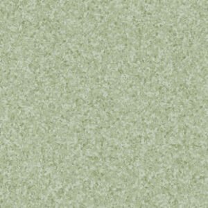 th 21020010 21021010 21022010 800 800 1.jpg