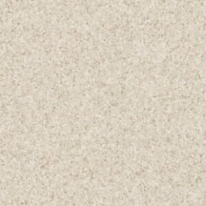 th 21020036 21021036 21022036 800 800 1.jpg