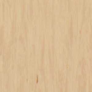 th 3068484 21003484 001 800 800.jpg