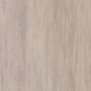 th 3068911 21003911 21004911 21005911 21006911 001 800 800.jpg