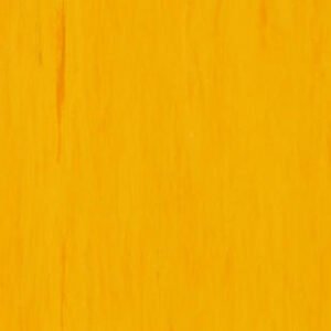 th 3068917 21003917 001 800 800.jpg