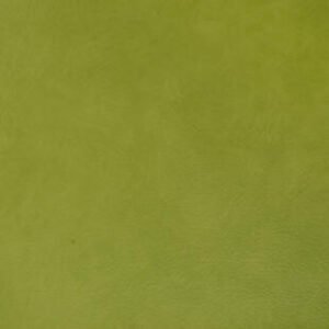 th omnisports esquisse light green.jpg