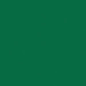 th omnisports field20green.jpg