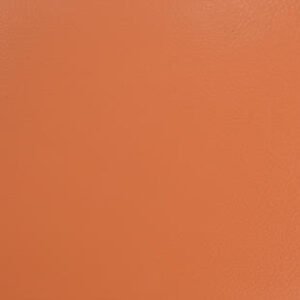 th omnisports orange.jpg