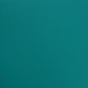 th omnisports teal.jpg