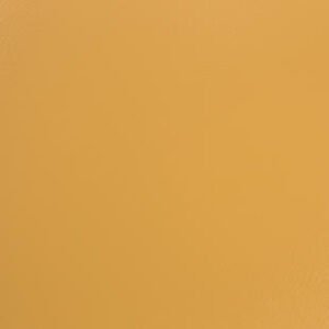 th omnisports yellow.jpg